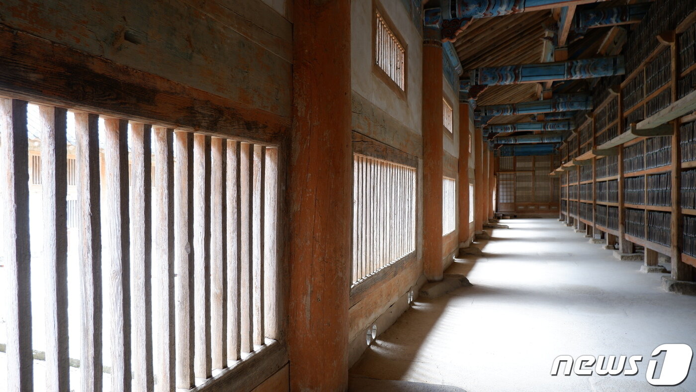 본문 이미지 - 800년 만에 국민에게 공개된 해인사 팔만대장경ⓒ 뉴스1 윤슬빈 기자