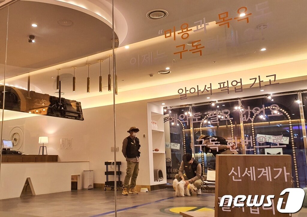 본문 이미지 - 어나더베이비에서 근무하고 있는 애견미용사와 훈련사 ⓒ 뉴스1 최서윤 기자