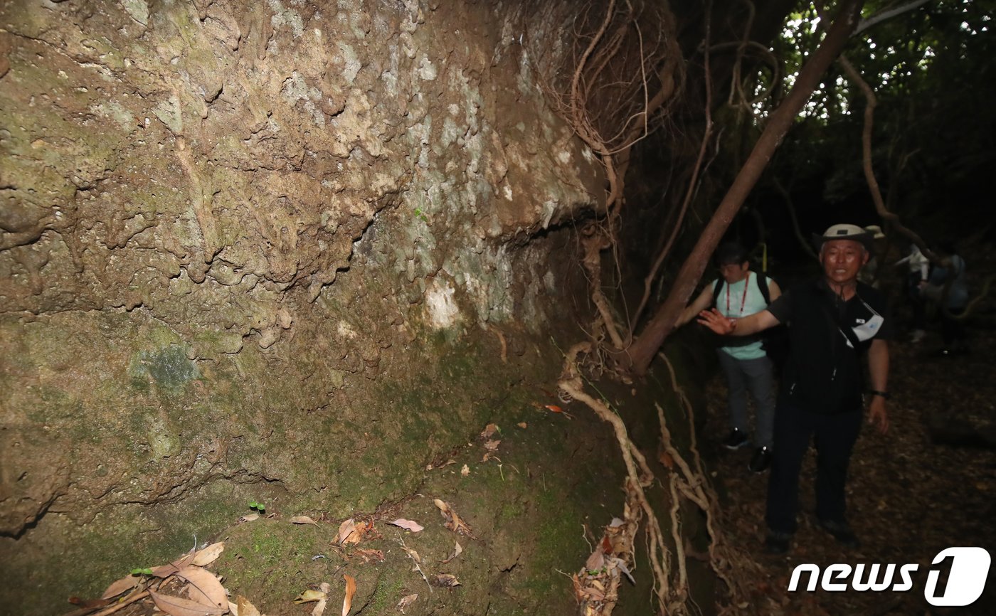 본문 이미지 - 2022 세계자연유산축전-제주 화산섬과 용암동굴이 오는 10월 1일부터 16일까지 거문오름 용암동굴계 등지에서 진행된다. 축전 기간 동안 비공개 구간인 거문오름 용암동굴계 동굴들이 일반에 공개된다. 사진은 지난 29일 북오름굴 인근에서 볼 수 있는 용암이 흐른 자국. 2022.7.31/뉴스1 ⓒ News1 오현지 기자