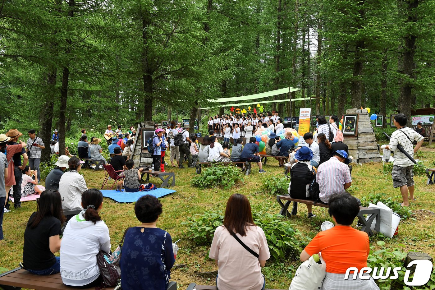 본문 이미지 - 함백산 야생화축제에 참여한 시민들.(정선군 제공)ⓒ 뉴스1