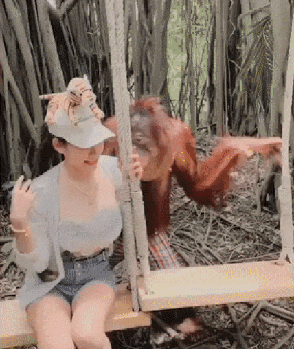 본문 이미지 - (유튜브 갈무리) ⓒ 뉴스1