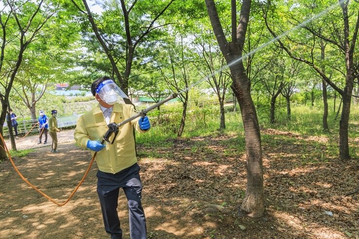 본문 이미지 - 박강수 마포구청장이 3일 상암 녹지대 일대 방역을 실시하고 있다&#40;마포구 제공&#41;.ⓒ 뉴스1
