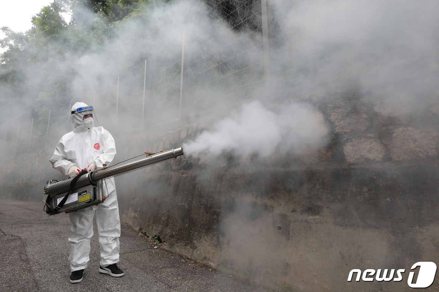 (서울=뉴스1) 임세영 기자 = 4일 오후 서울 은평구 갈현로 인근 주택가에서 은평구청 관계자들이 사랑벌레 관련 긴급 방역에 나서고 있다. 은평구는 "최근 개체수가 급격하게 증가해 …