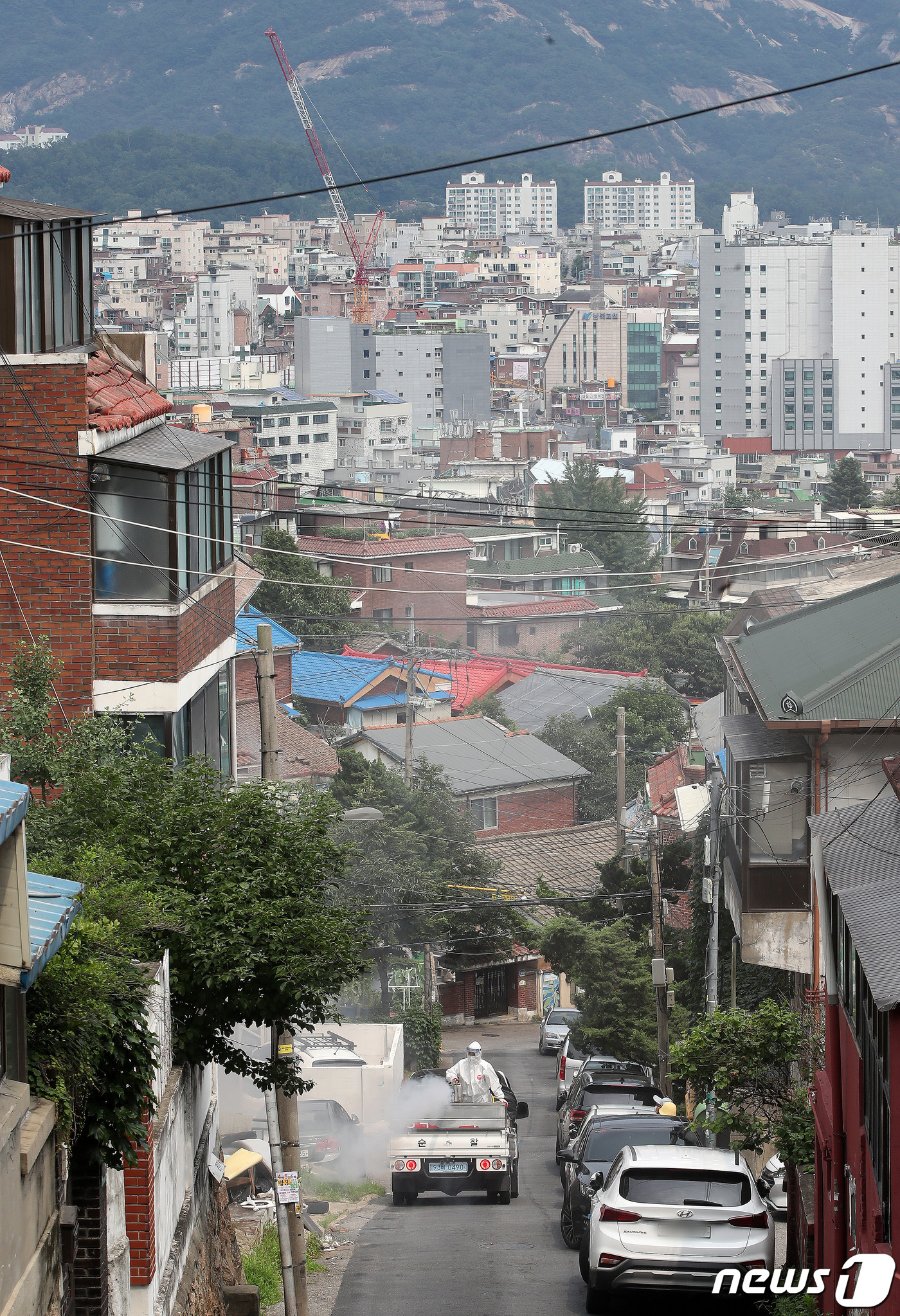 (서울=뉴스1) 임세영 기자 = 4일 오후 서울 은평구 갈현로 인근 주택가에서 은평구청 관계자들이 사랑벌레 관련 긴급 방역에 나서고 있다.은평구는 "최근 개체 수가 급격하게 증가해 …