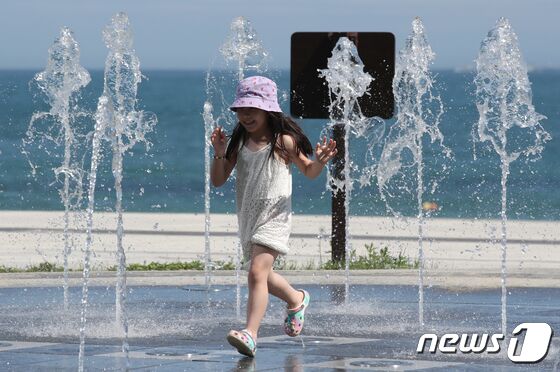 내일날씨] 푹푹 찌는 무더위·열대야 계속…내륙엔 소나기 - 뉴스1