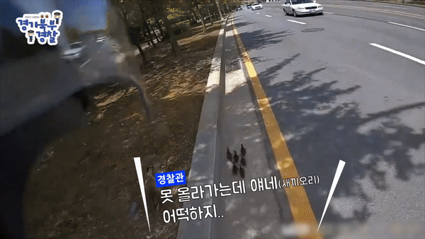 본문 이미지 - 경찰청 공식 페이스북 갈무리 ⓒ 뉴스1