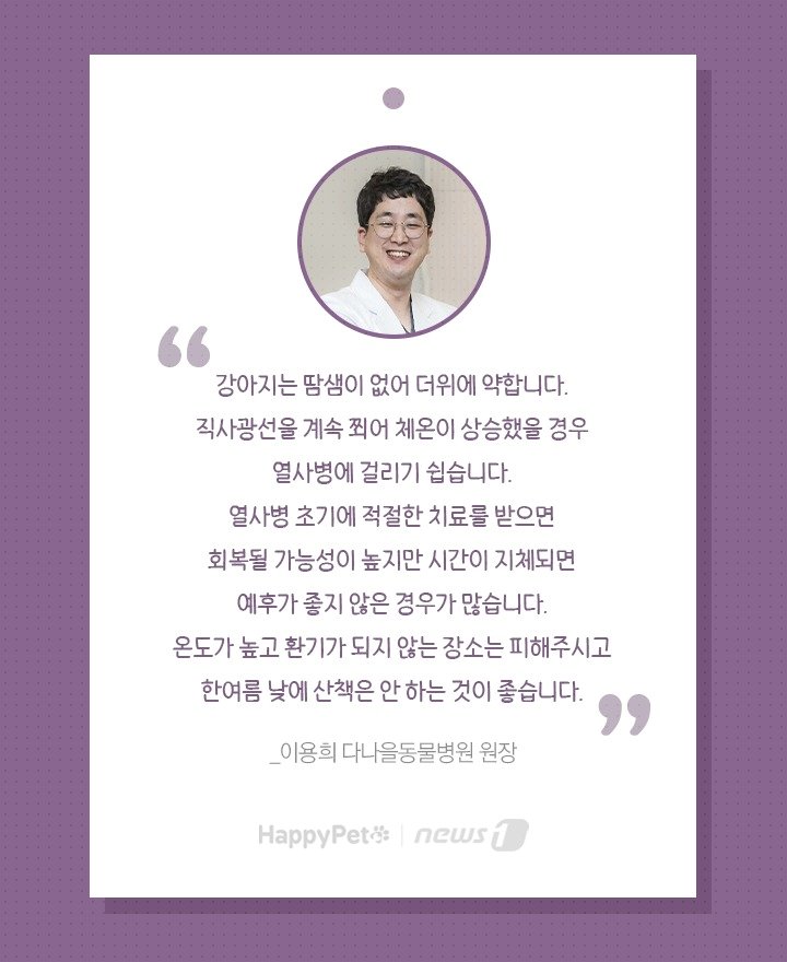 본문 이미지 - 펫카드 ⓒ 뉴스1