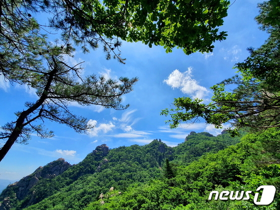 화북에서 문장대로 향하는 오르막에서 탁 터진 산자락 풍경 © 뉴스1