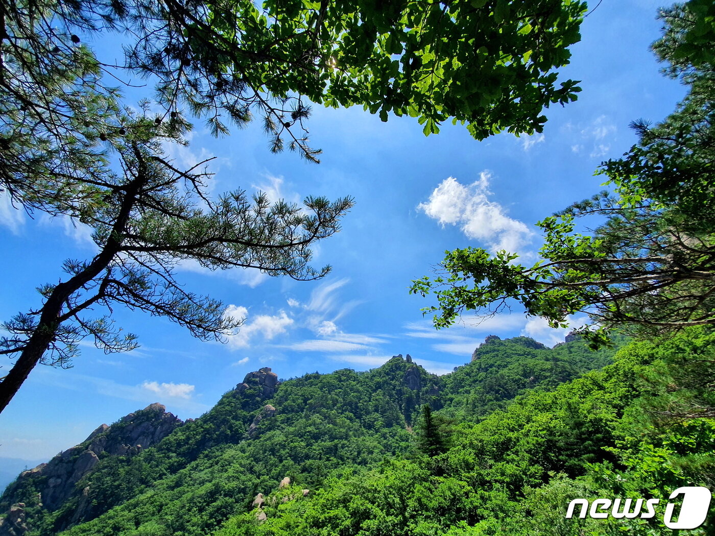 본문 이미지 - 화북에서 문장대로 향하는 오르막에서 탁 터진 산자락 풍경 ⓒ 뉴스1