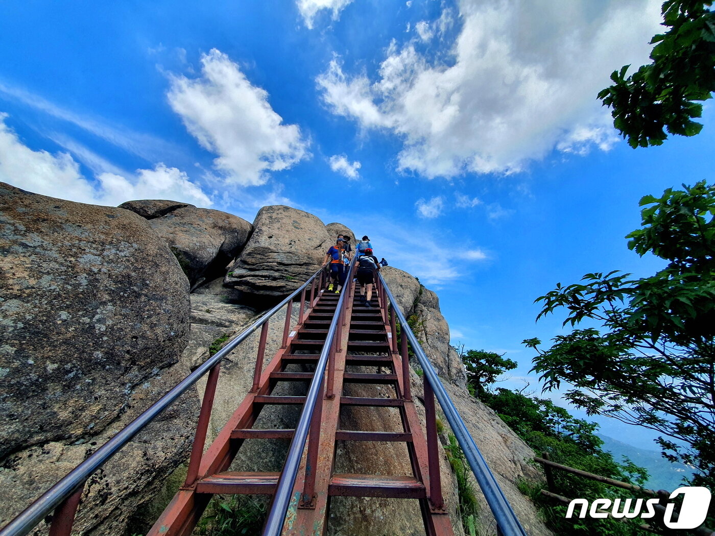 본문 이미지 - 문장대로 오르는 3단 철계단. 마지막 3단은 거의 수직으로 경사가 급하다. ⓒ 뉴스1