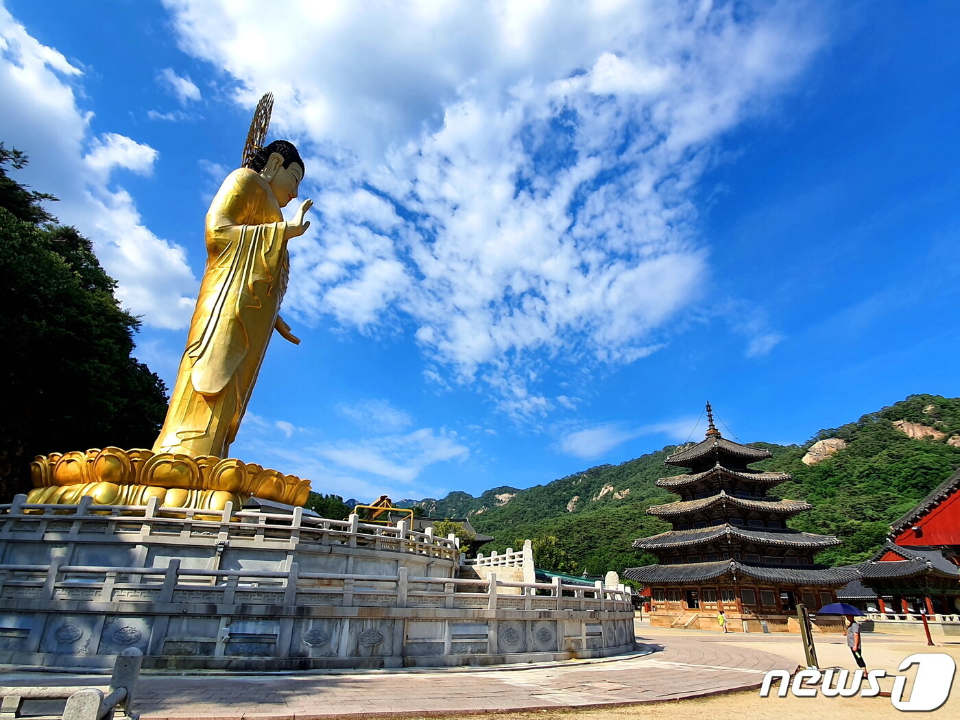 본문 이미지 - 법주사 금동미륵대불과 팔상전 ⓒ 뉴스1