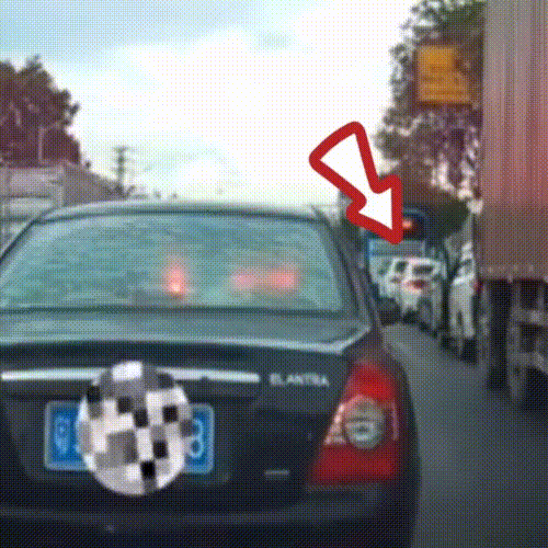 본문 이미지 - 갑자기 도로에서 내버려진 강아지. (웨이보 갈무리) ⓒ 뉴스1