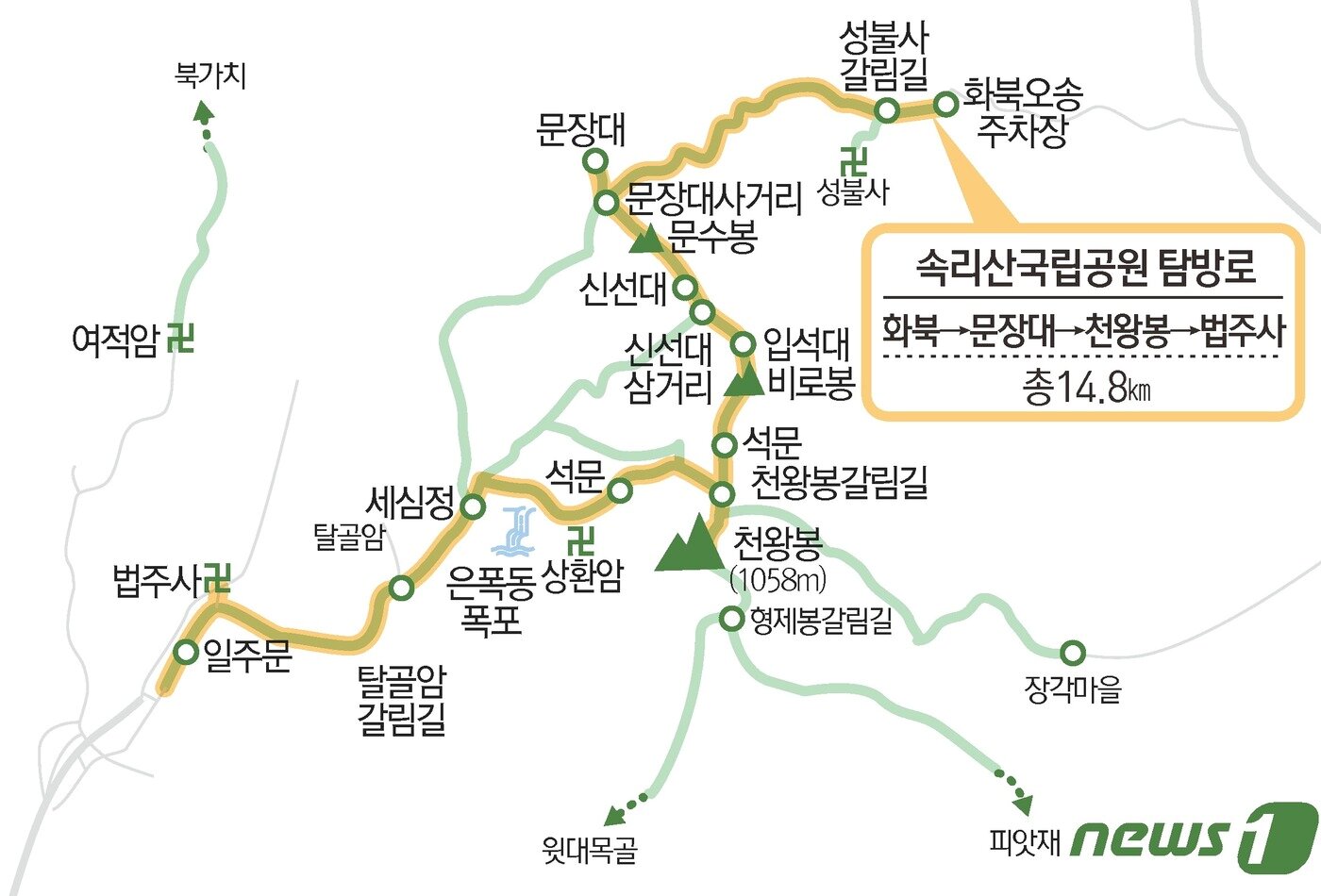 본문 이미지 - ⓒ News1 김초희 디자이너