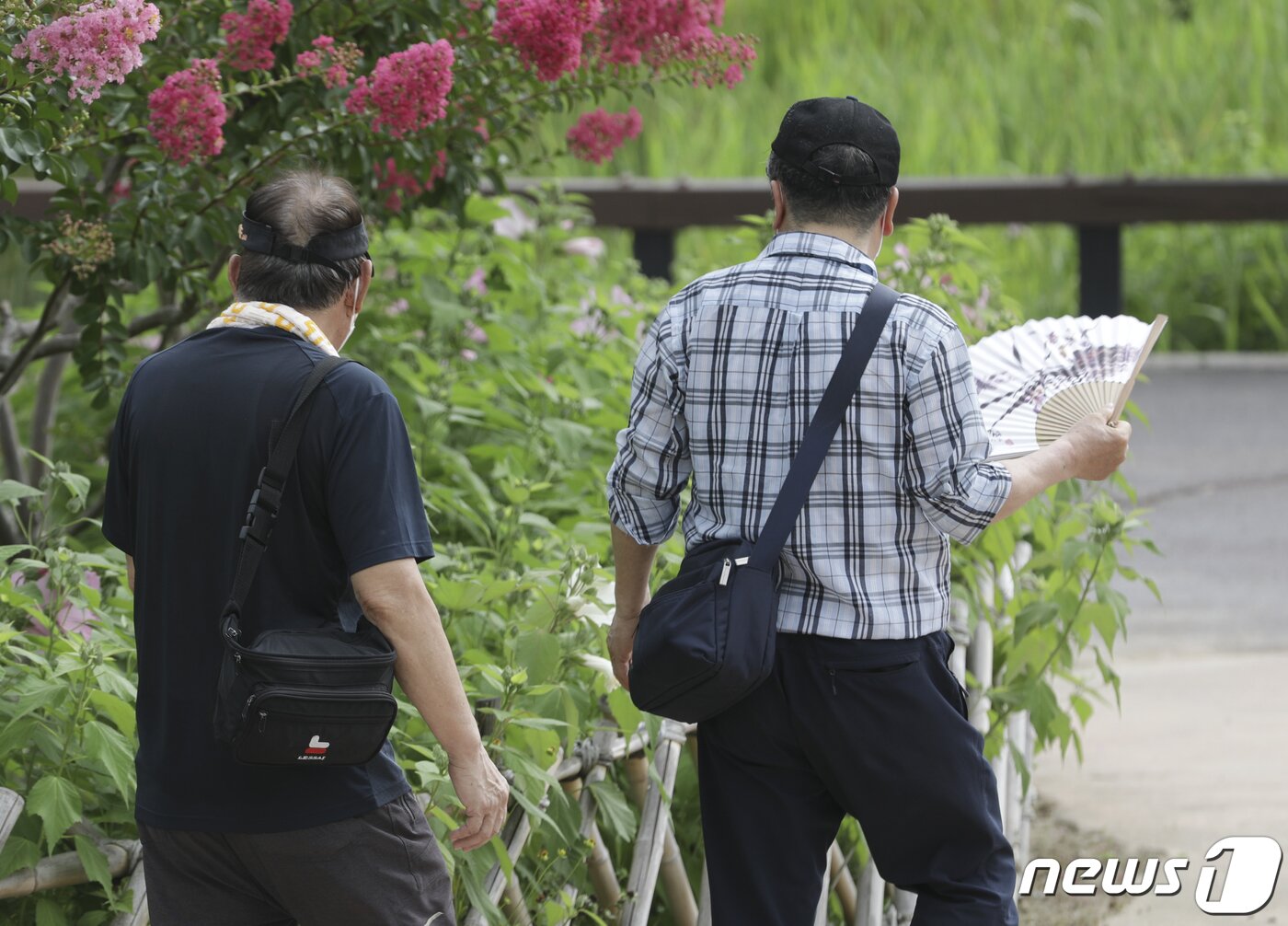 본문 이미지 - 폭염이 이어지고 있는 8일 오전 울산 중구 태화강 국가정원을 찾은 한 시민이 부채질을 하며 산책하고 있다. 2022.7.8/뉴스1 ⓒ News1 윤일지 기자