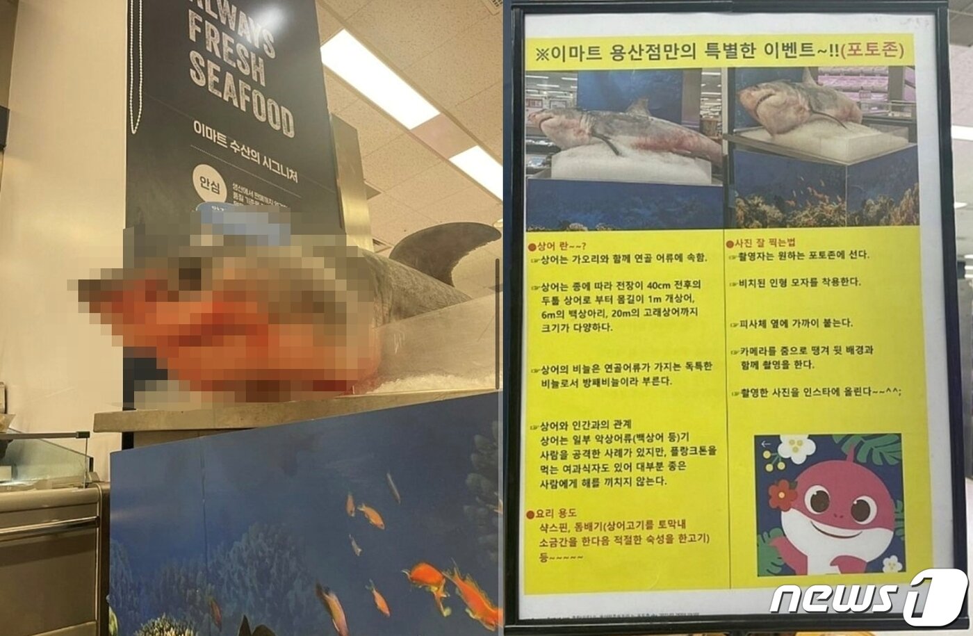 본문 이미지 - &#40;트위터 갈무리&#41; ⓒ 뉴스1