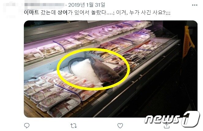 본문 이미지 - &#40;트위터 갈무리&#41; ⓒ 뉴스1