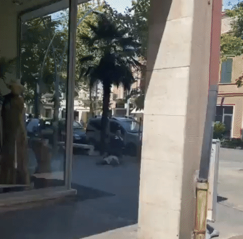 본문 이미지 - 대낮 이탈리아의 길거리에서 일어난 폭행 사건. 이를 지켜본 사람들은 아무도 도와주지 않았고 피해자는 사망했다. (트위터 갈무리) ⓒ 뉴스1