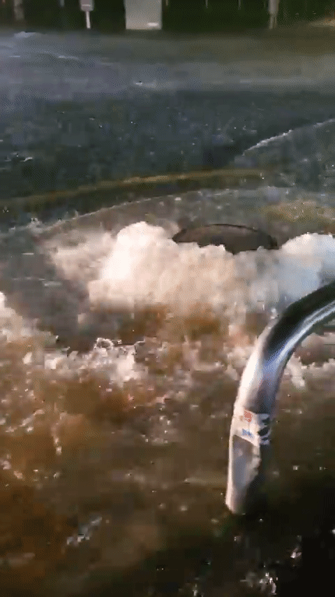 본문 이미지 - 8일 저녁 폭우로 역류하고 있는 서초구 양재동의 한 맨홀. (독자 제공) ⓒ 뉴스1