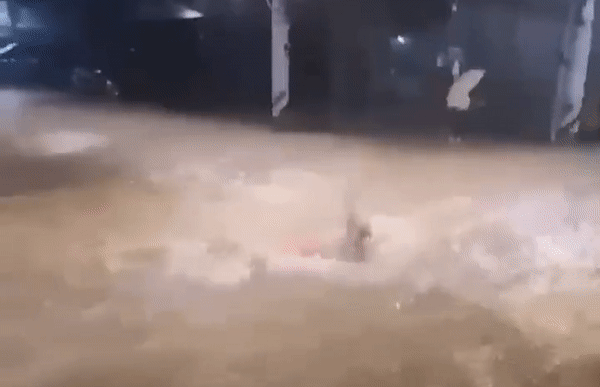 본문 이미지 - 신림동 일대 침수된 도로에서 수영하는 시민. (트위터 갈무리) ⓒ 뉴스1