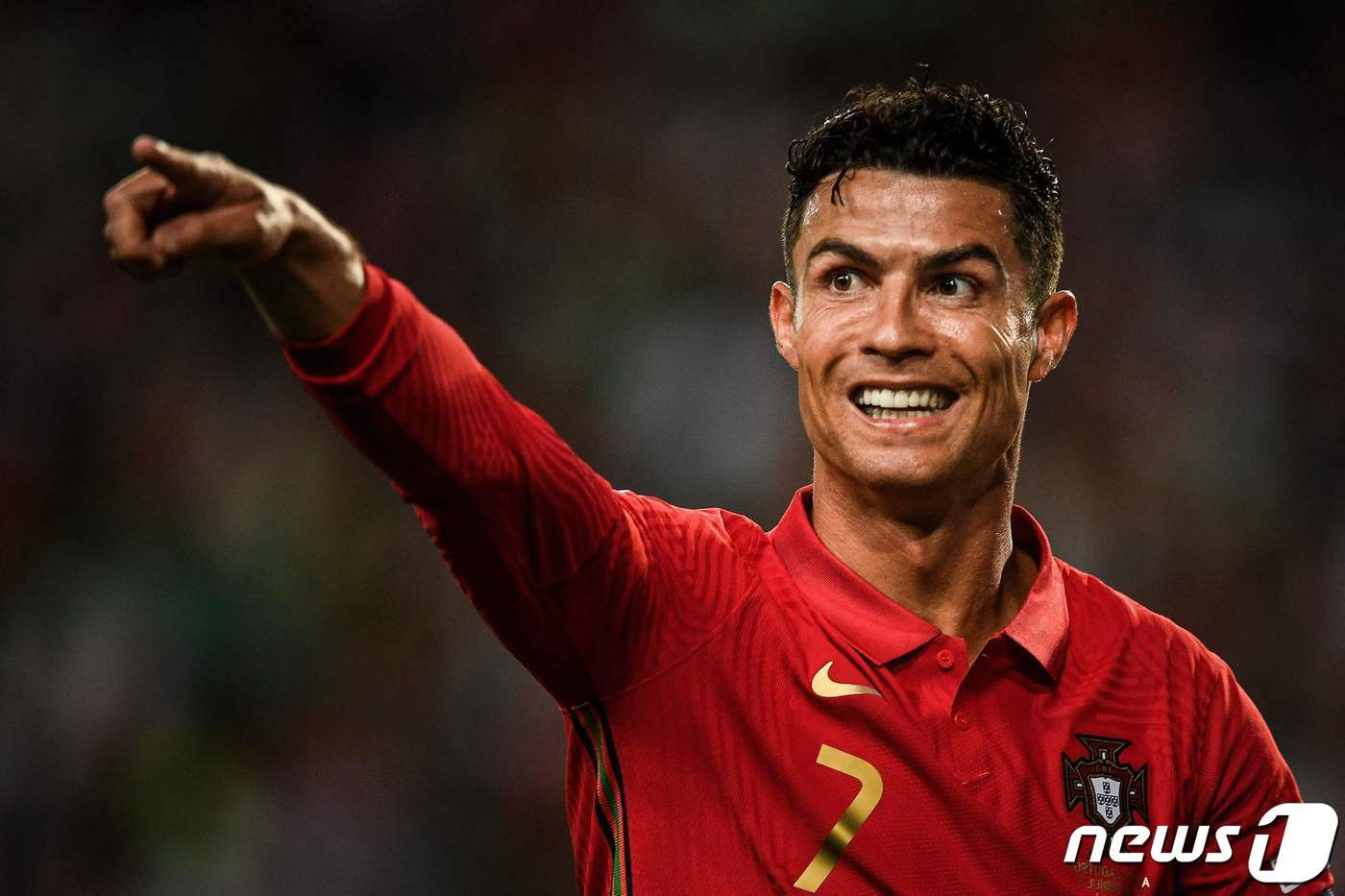 본문 이미지 - 포르투갈 호날두 ⓒ AFP=뉴스1