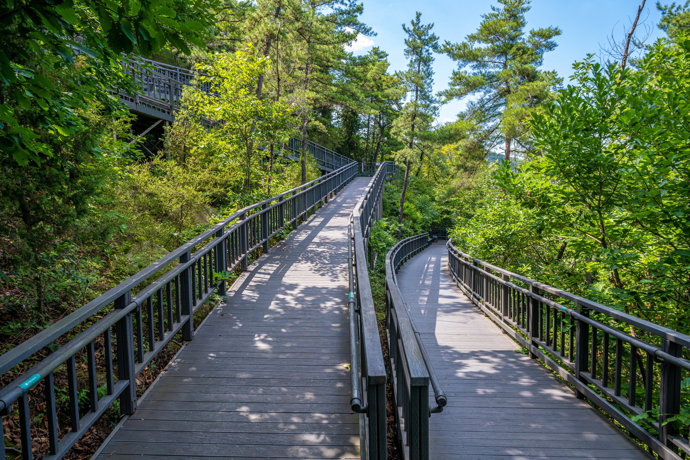 본문 이미지 - 관악산무장애숲길- 지그재그로 걸어올라가야 하는 등반형숲길&#40;서울관광재단 제공&#41;ⓒ 뉴스1