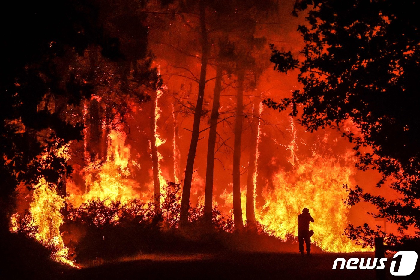 (오스탕 AFP=뉴스1) 우동명 기자 = 11일 (현지시간) 대형 산불이 발생한 프랑스 보르도 오스탕 인근에서 거센 불길이 숲을 태우고 있다.ⓒ AFP=뉴스1