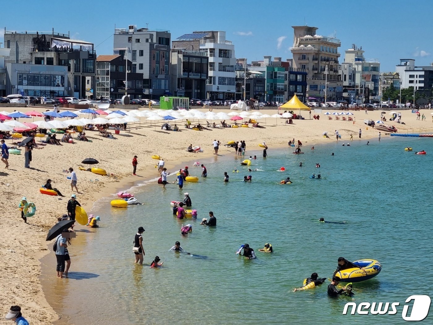 본문 이미지 - 막바지 피서철과 광복절 연휴를 앞둔 12일 커피거리로 유명한 강원 강릉 안목해변에서 피서객들이 물놀이를 즐기고 있다. 2022.8.12/뉴스1 ⓒ News1 윤왕근 기자