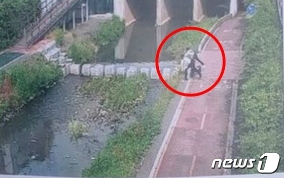 본문 이미지 - 오리 가족을 돌팔매질하는 것으로 보이는 남성들. (온라인 커뮤니티 갈무리) ⓒ 뉴스1