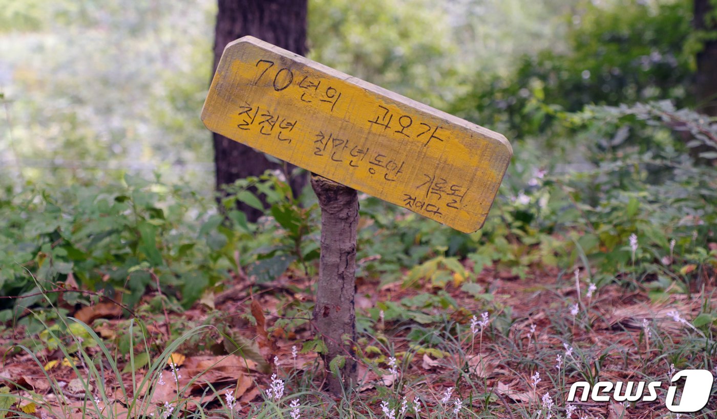 본문 이미지 - 전북 전주시 완산구 중노송동에 위치한 친일 반민족 행위자 이두황 묘지 부근에 박혀있는 말뚝. /뉴스1 ⓒ News1 유경석 기자