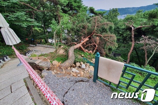 중부지방 집중호우로 파주 용미리 마애이불입상 주변 석축이 무너지고 울타리가 파손됐다. &#40;문화재청 제공&#41;  