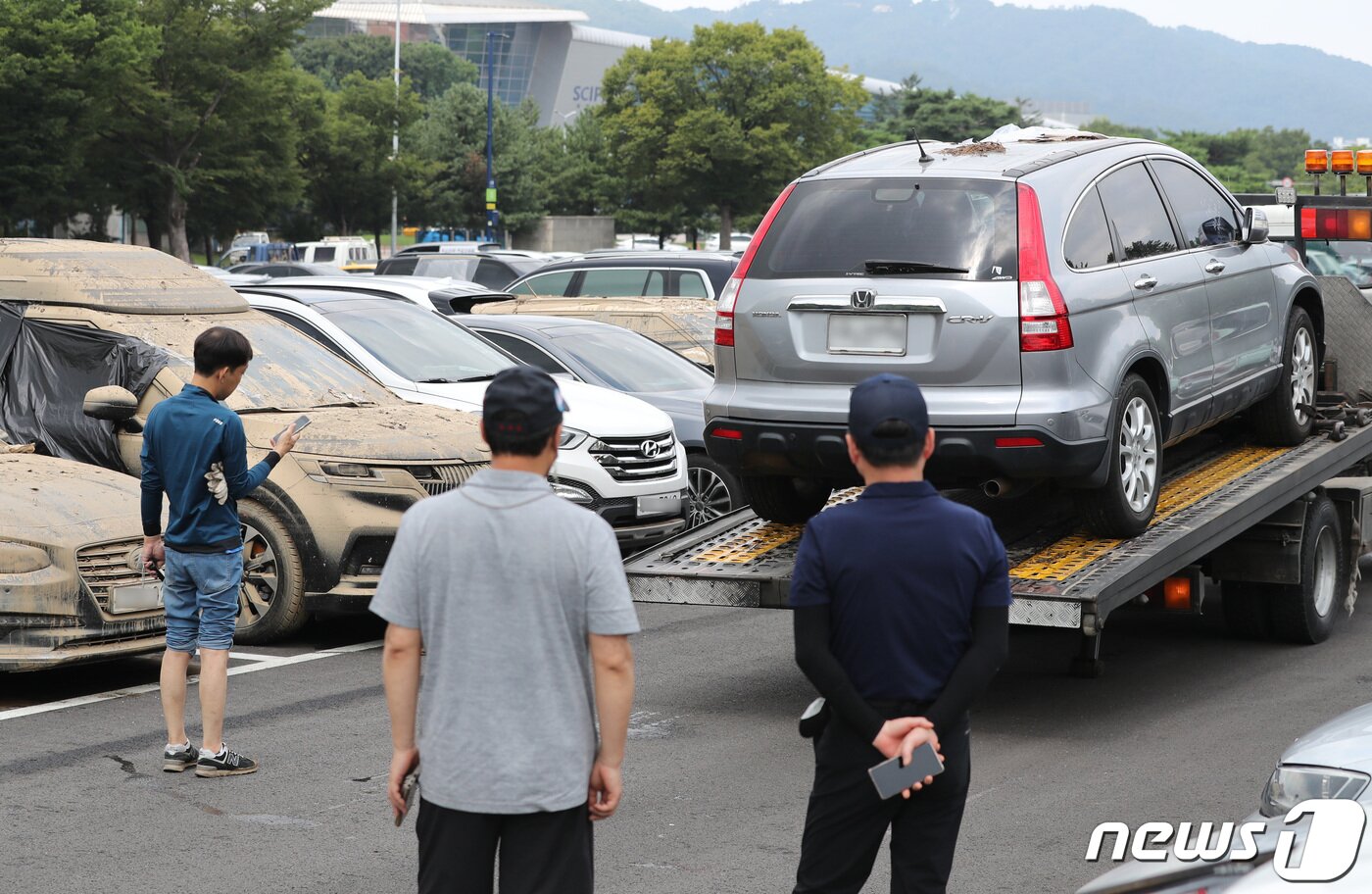 본문 이미지 - 14일 오후 경기 과천시 서울대공원 주차장에 마련된 보험사 침수차량 집결 장소에 서울 등 수도권에서 침수 피해를 입은 차량이 모여있다.  2022.8.14/뉴스1 ⓒ News1 구윤성 기자