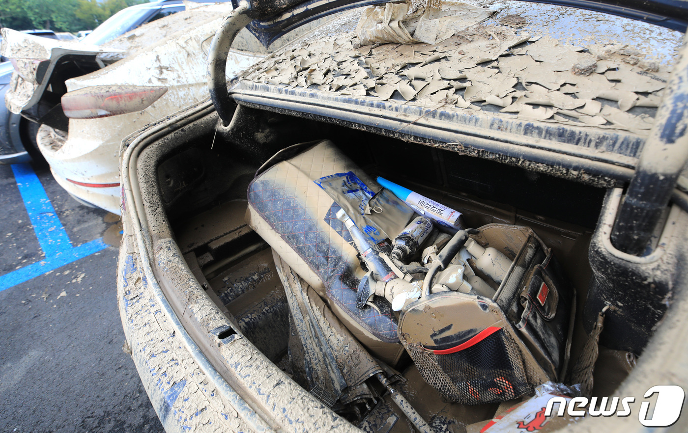 (과천=뉴스1) 구윤성 기자 = 14일 오후 경기 과천시 서울대공원 주차장에 마련된 보험사 침수차량 집결 장소에 서울 등 수도권에서 침수 피해를 입은 차량이 모여있다.손해보험협회에 …