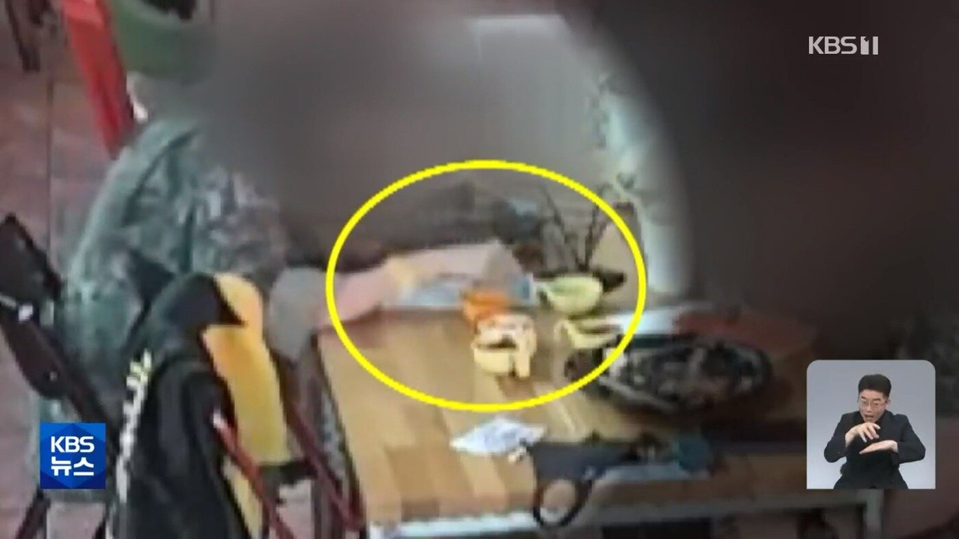 본문 이미지 - A씨 일행이 담요에서 떼낸 머리카락을 식탁 위에 올려놓는 모습. (KBS 갈무리) ⓒ 뉴스1