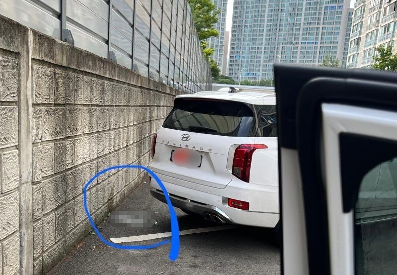 본문 이미지 - 남성이 싸고 간 소변. ('보배드림' 갈무리) ⓒ 뉴스1