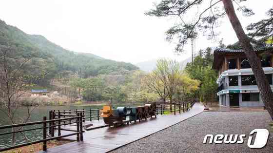 본문 이미지 - 순환형 탐방로 '천은사 상생의 길'