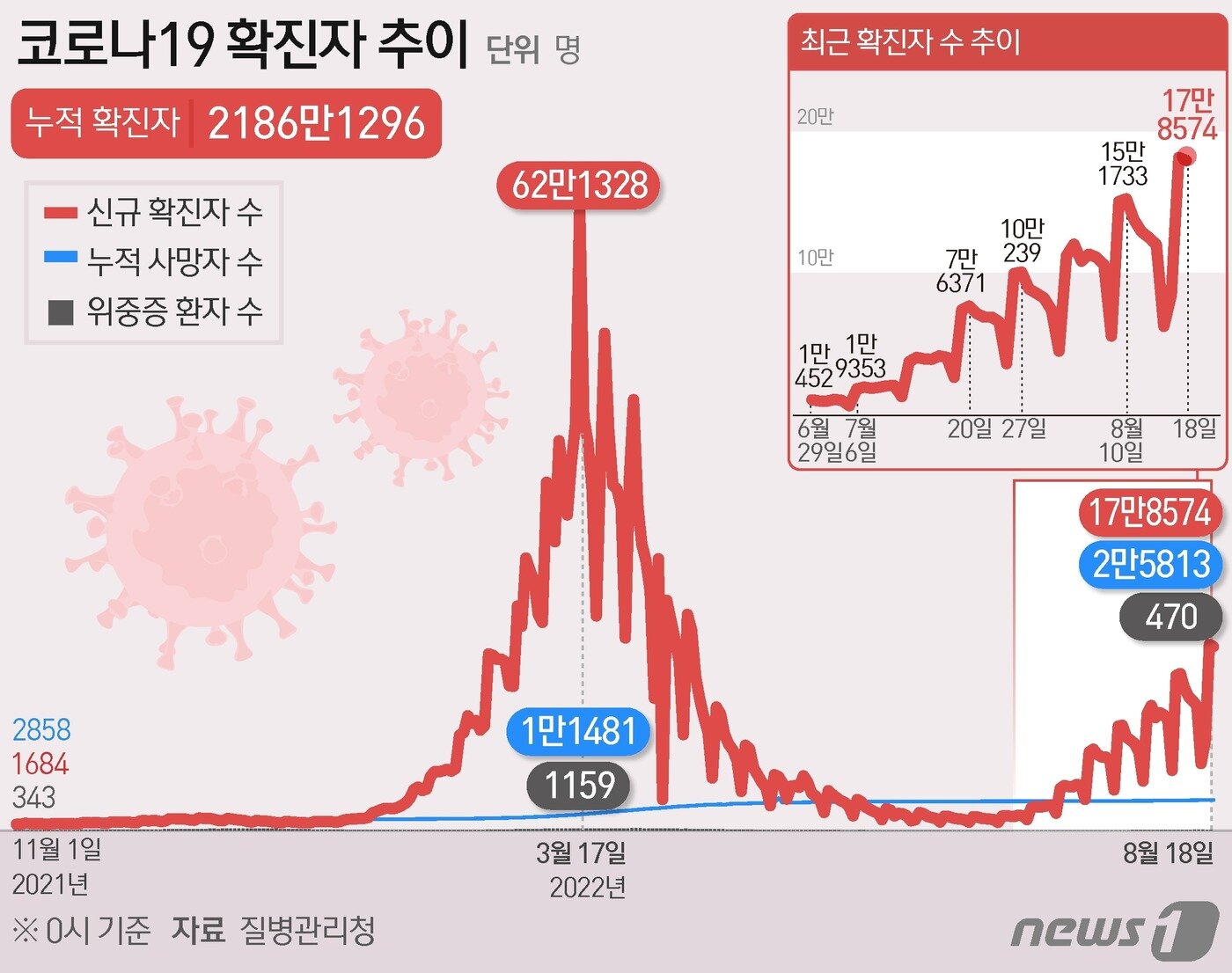 본문 이미지 - ⓒ News1 김초희 디자이너