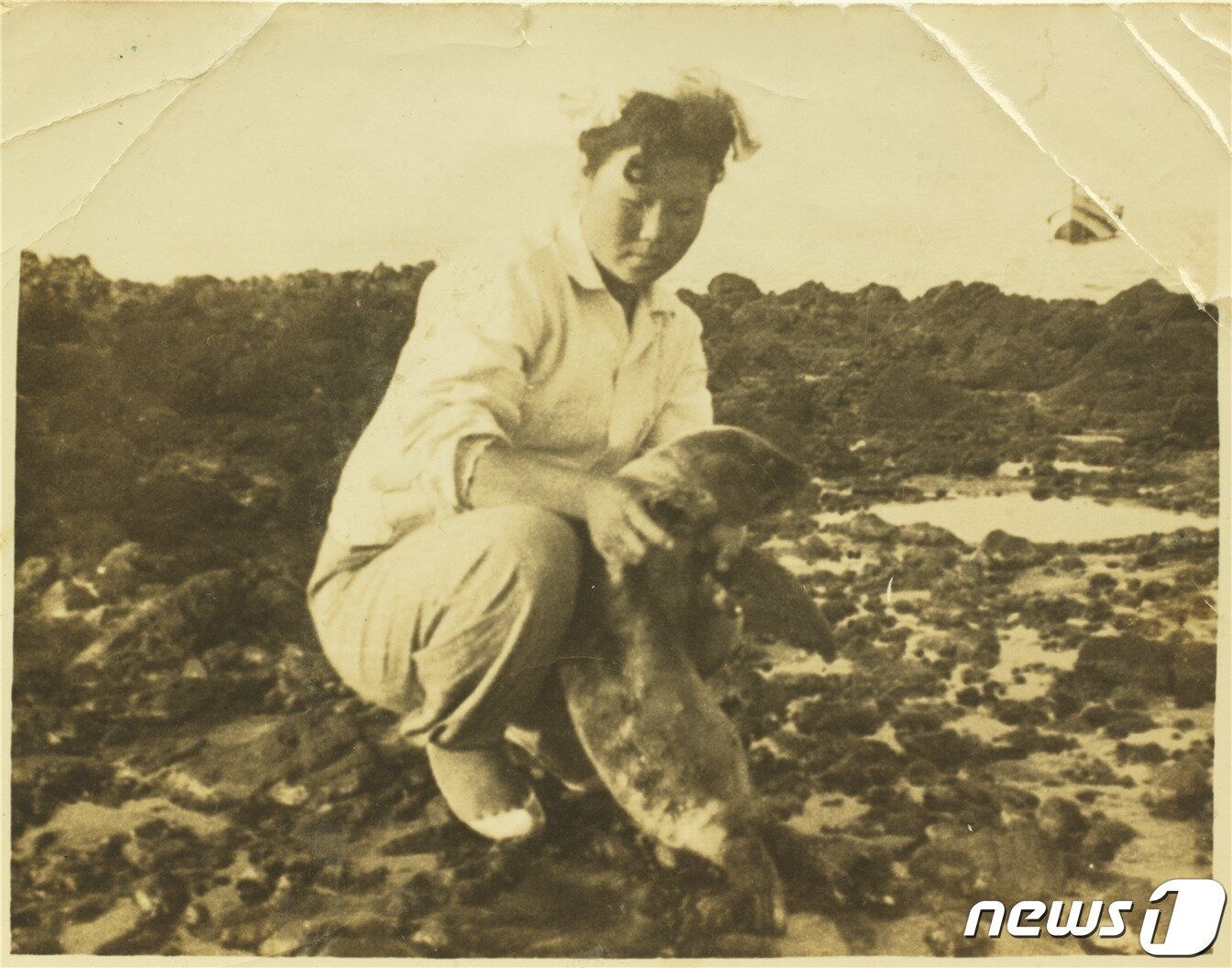 본문 이미지 - 제주해녀 출신인 김공자씨는 1950년데 독도에서 물질을 하며 독도를 지켰다. 김공자씨가 독도에서 물질을 하다 곰치와 기념사진을 찍고 있다. ⓒ News1 김대벽 기자