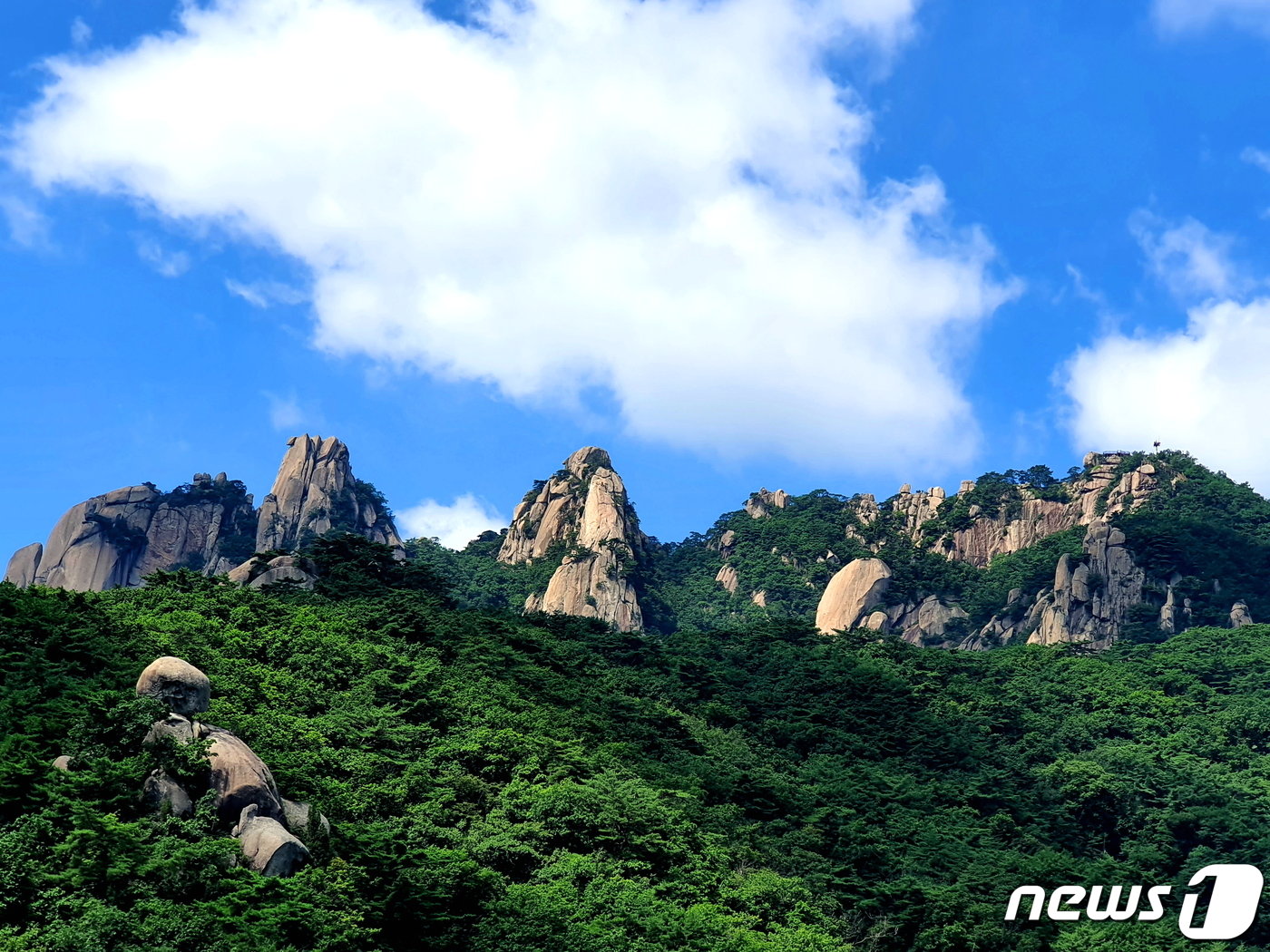 본문 이미지 - 다락능선에서 올려다 본 도봉산 정상. 흔히 ‘도봉산 사령부’라고 부른다. 왼쪽 선인봉-만장봉, 가운데 자운봉, 오른쪽 포대능선 정상