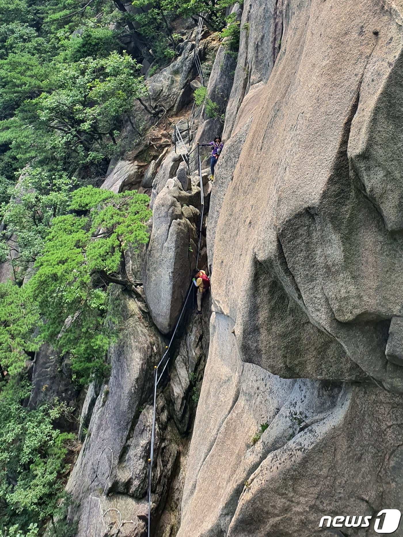 본문 이미지 - Y계곡의 수직 암릉. 비좁은 바위틈으로 쇠줄을 부여잡고 조심조심 내려서는 사람들.