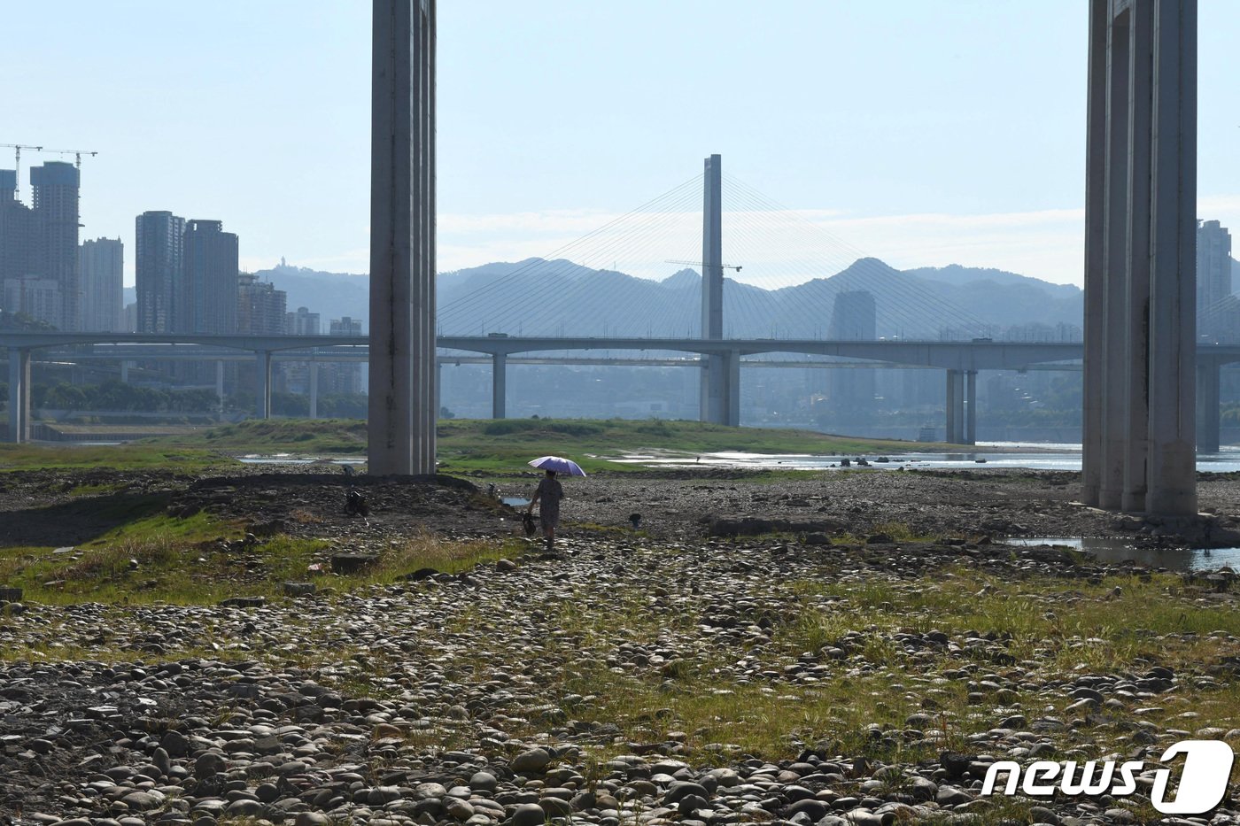 본문 이미지 - 17일 중국 충칭에서 한 여성이 메마른 양쯔강 강바닥을 걷고 있다. 22.08.17 ⓒ 로이터=뉴스1 ⓒ News1 김예슬 