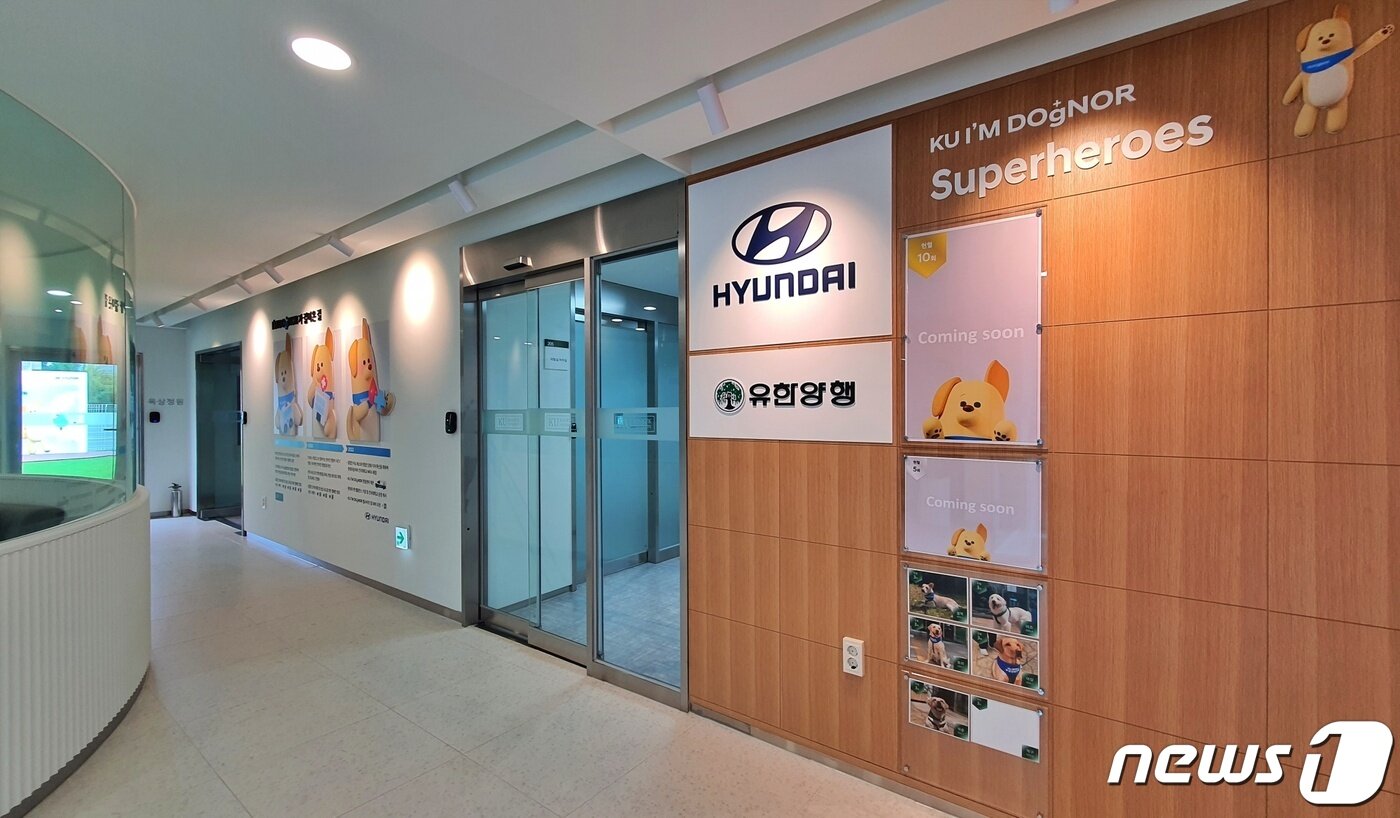 본문 이미지 - 18일 서울 광진구 건국대학교 내 문을 연 반려동물 헌혈센터 'KU 아임도그너(KU I'M DOgNOR) 헌혈센터' 내부 모습 ⓒ 뉴스1 최서윤 기자