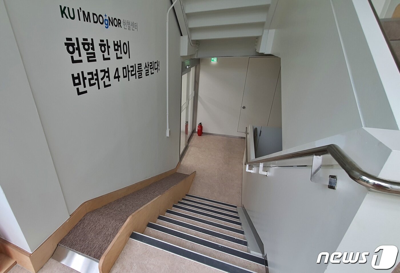 본문 이미지 - 18일 서울 광진구 건국대학교 내 문을 연 반려동물 헌혈센터 'KU 아임도그너(KU I'M DOgNOR) 헌혈센터' 내부. 반려견을 위한 경사로가 설치돼 있다. ⓒ 뉴스1 최서윤 기자