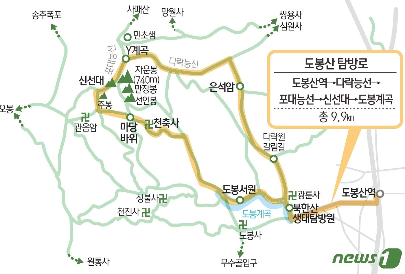 본문 이미지 - ⓒ News1 김초희 디자이너