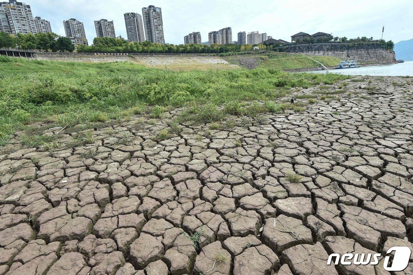 본문 이미지 - 중국 충칭의 양쯔강이 극심한 가뭄으로 갈라진 바닥을 드러내고 있다. ⓒ AFP=뉴스1 ⓒ News1 우동명 기자