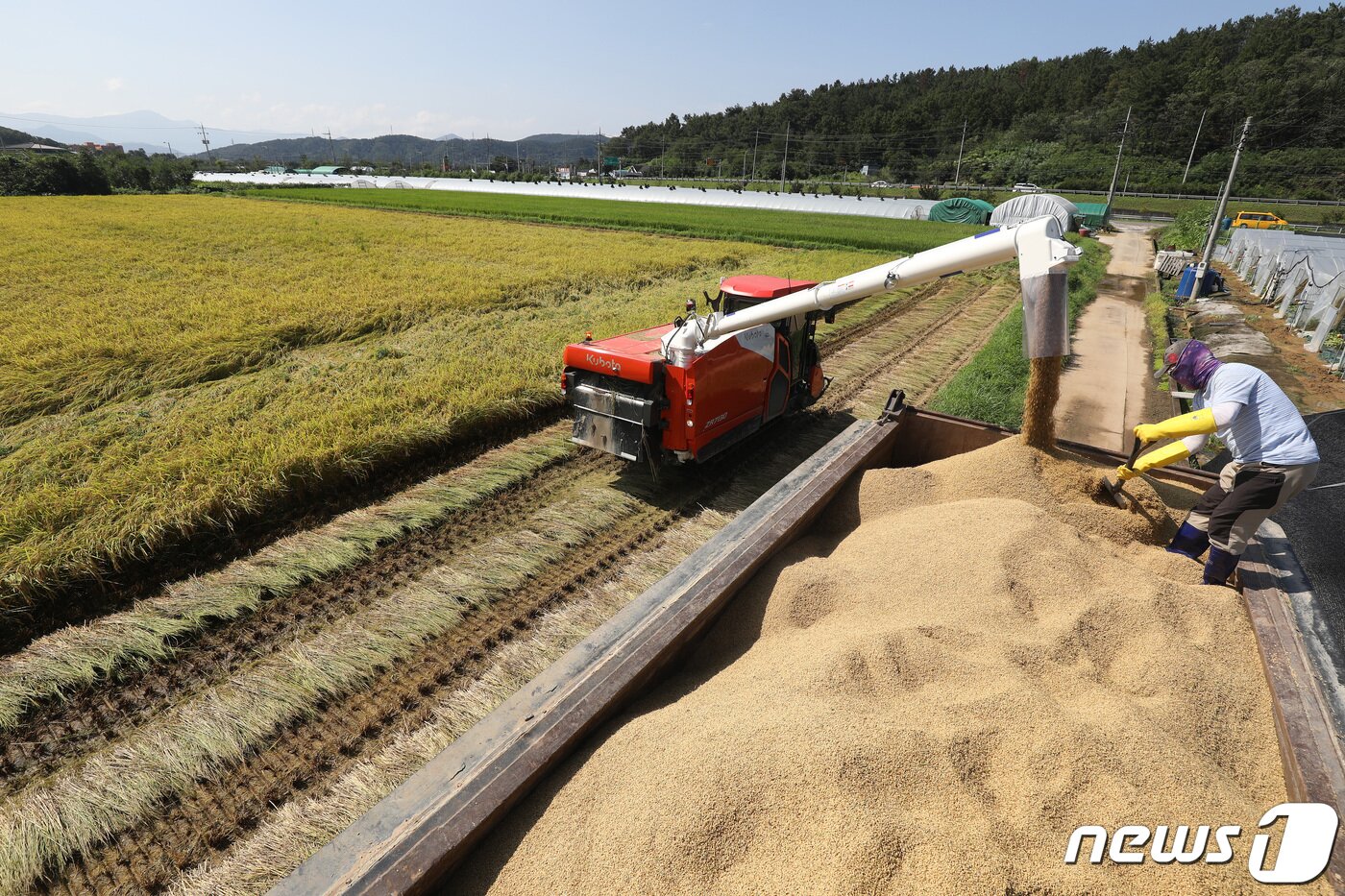본문 이미지 - (사진은 기사 내용과 무관함) / 뉴스1 ⓒ News1