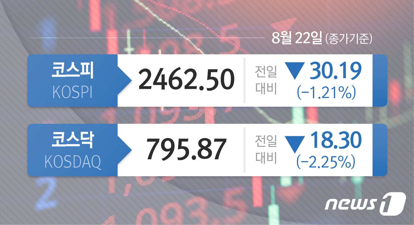 본문 이미지 - ⓒ News1 윤주희 디자이너