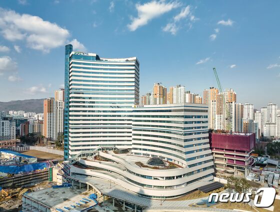 징계자에 연가보상비 지급·진단서 없이 병가사용… 업무태만 등 117건 적발 - 뉴스1 징계자에 연가보상비 지급·진단서 없이 병가사용… 업무태만 등 117건 적발 - 뉴스1