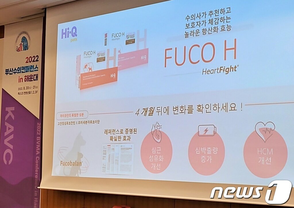 본문 이미지 - 21일 부산 벡스코에서 열린 부산수의콘퍼런스에서 수의심장 관련 강의가 진행되고 있다. ⓒ 뉴스1 최서윤 기자