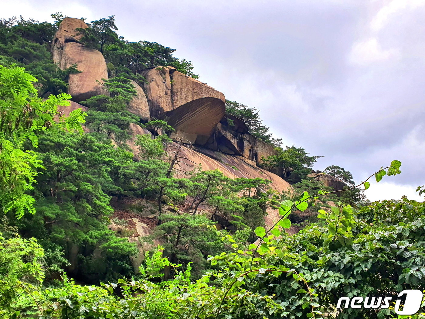 본문 이미지 - 두꺼비 바위. 원도봉계곡의 랜드마크