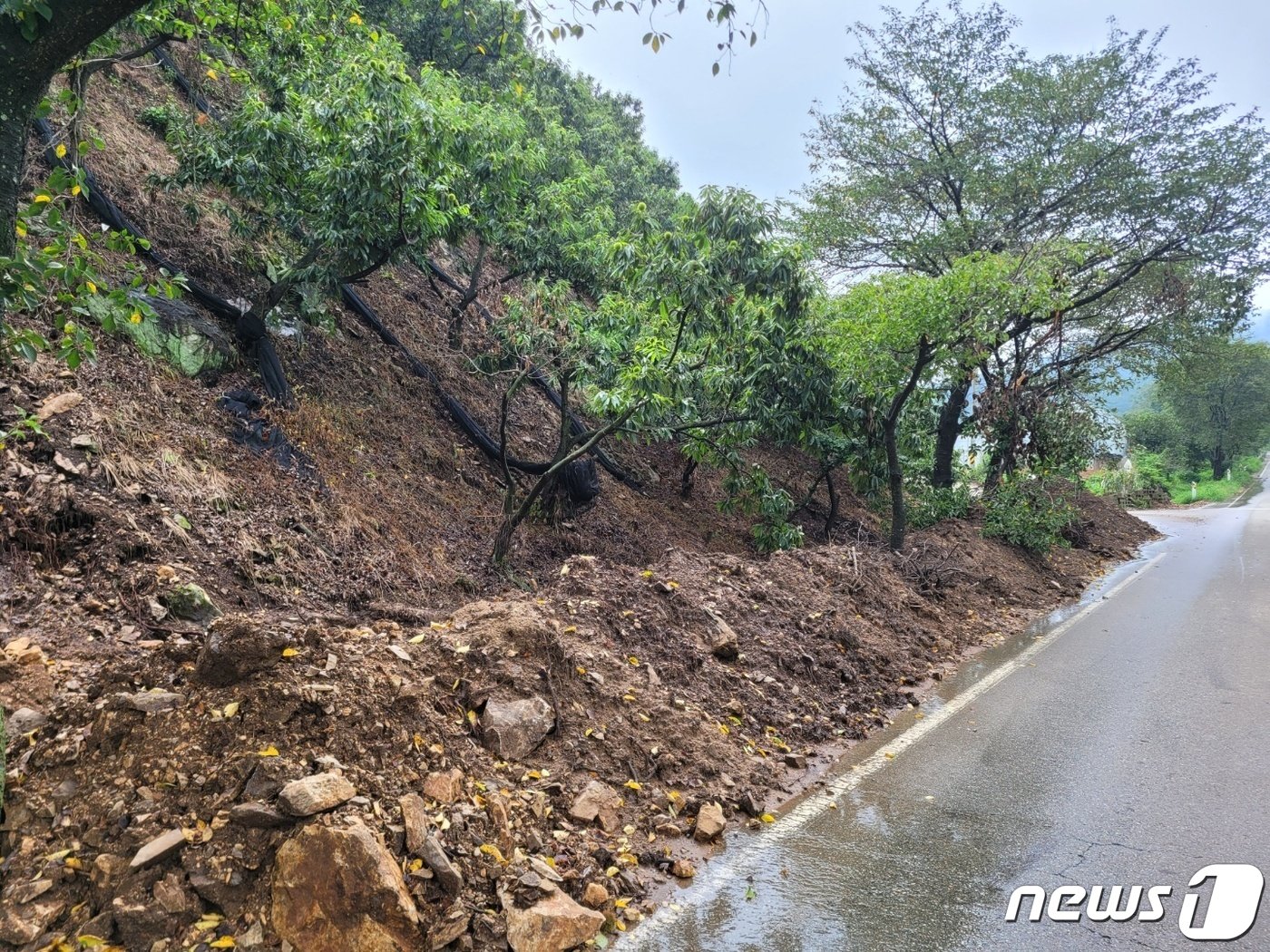 청양읍내에서 청남면으로 가는 도로 곳곳은 산에서 토사가 흘러내려 임시로 치워진 모습을 볼 수 있었다. / 뉴스1 ⓒ News1